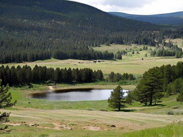 Foto de Kiziljahamam Sohuksu National Park