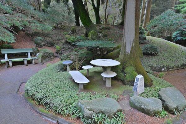 Foto del Jardín Botánico