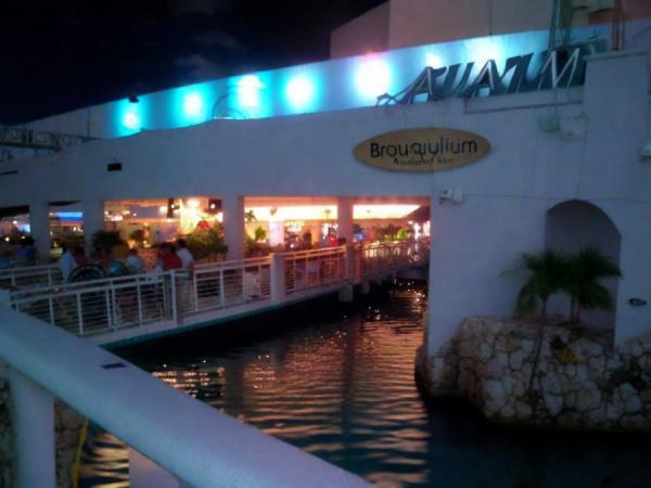 Foto interactiva del acuario de delfines