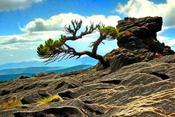 Foto del Parque Natural del Etna