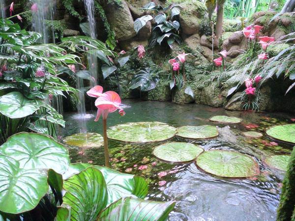Foto del jardín botánico
