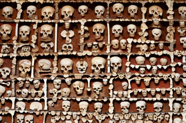 Foto de Capilla de los huesos