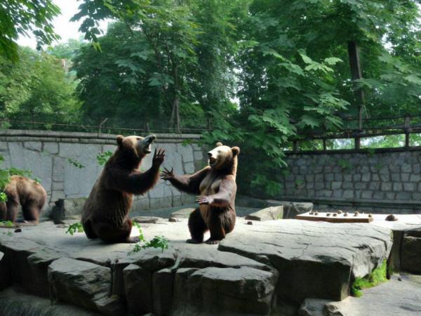Foto del zoológico de Kaliningrado