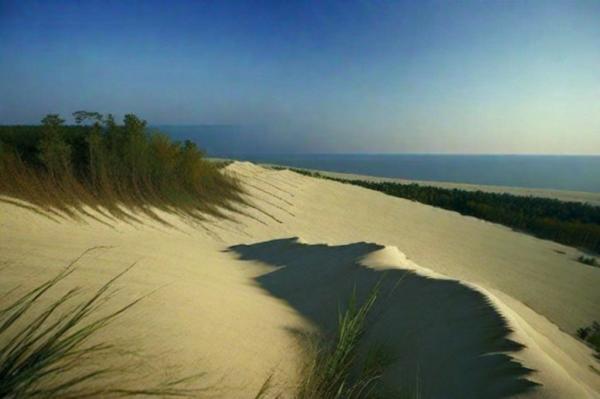 Foto del Parque Nacional "Curonian Spit"