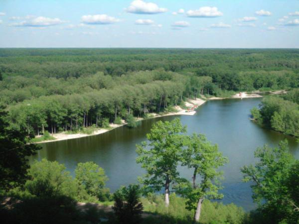 Reserva parque Gomolshansky bosques foto