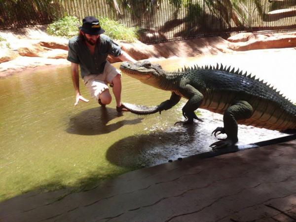 Parque con caimanes Sawgrass Recreation Park photo