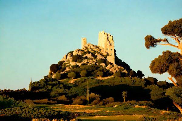 Castillo Pedres fotos