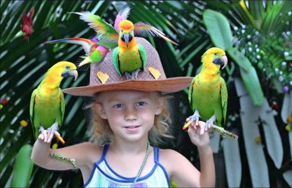 Bird Park Bird Paradise foto