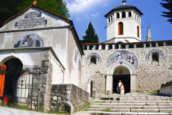 Foto de cetina