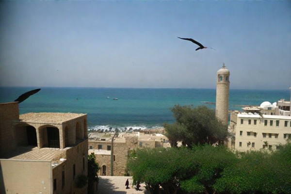 Foto de la mezquita Al-Bahr
